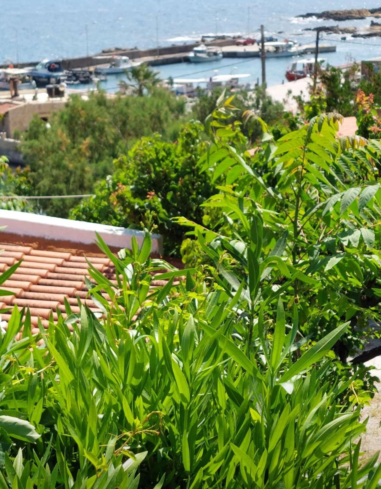 Villas Vista Del Mar キサモス エクステリア 写真